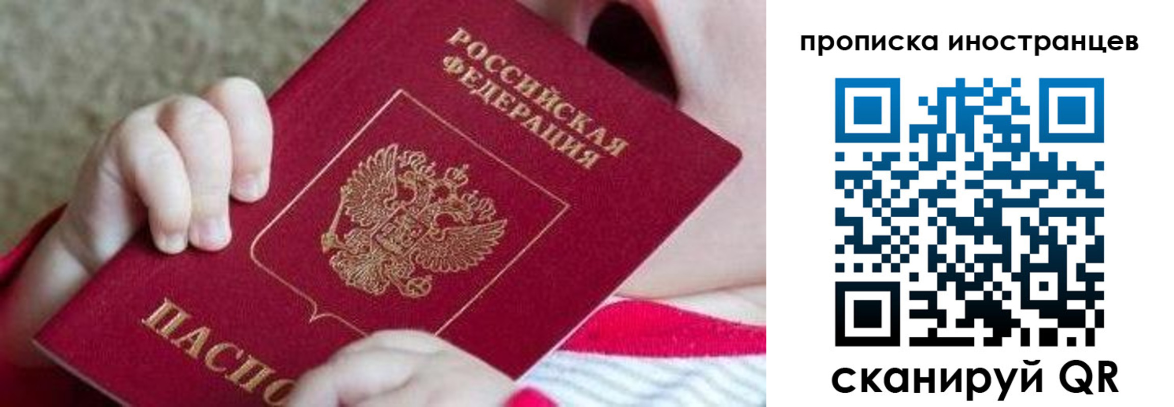 временная регистрация поиск в Выборге